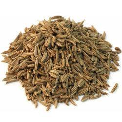 Shajeera (Caraway Seeds) - Bhavnagari Dry Fruit Co